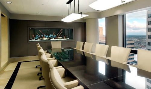 數量顏色有講究辦公室養魚風水知識