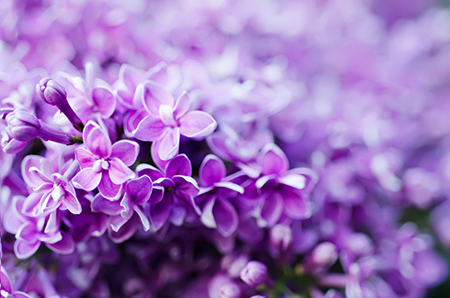 如何提升事業(yè),新年旺運(yùn),事業(yè)運(yùn)