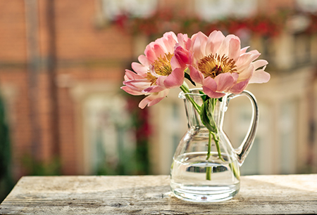 雞年風水,2017年風水,風水知識